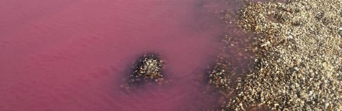 Roze jezero u Srbiji