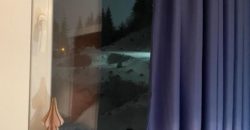Apartman JOY Jahorina