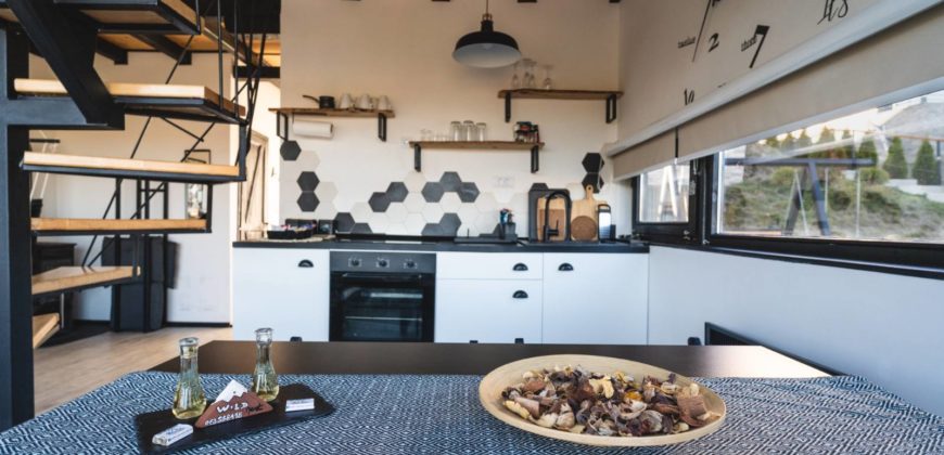 Wild Nest apartmani Zlatibor