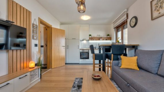 Apartman My Time Zlatibor